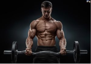 bodybuilding