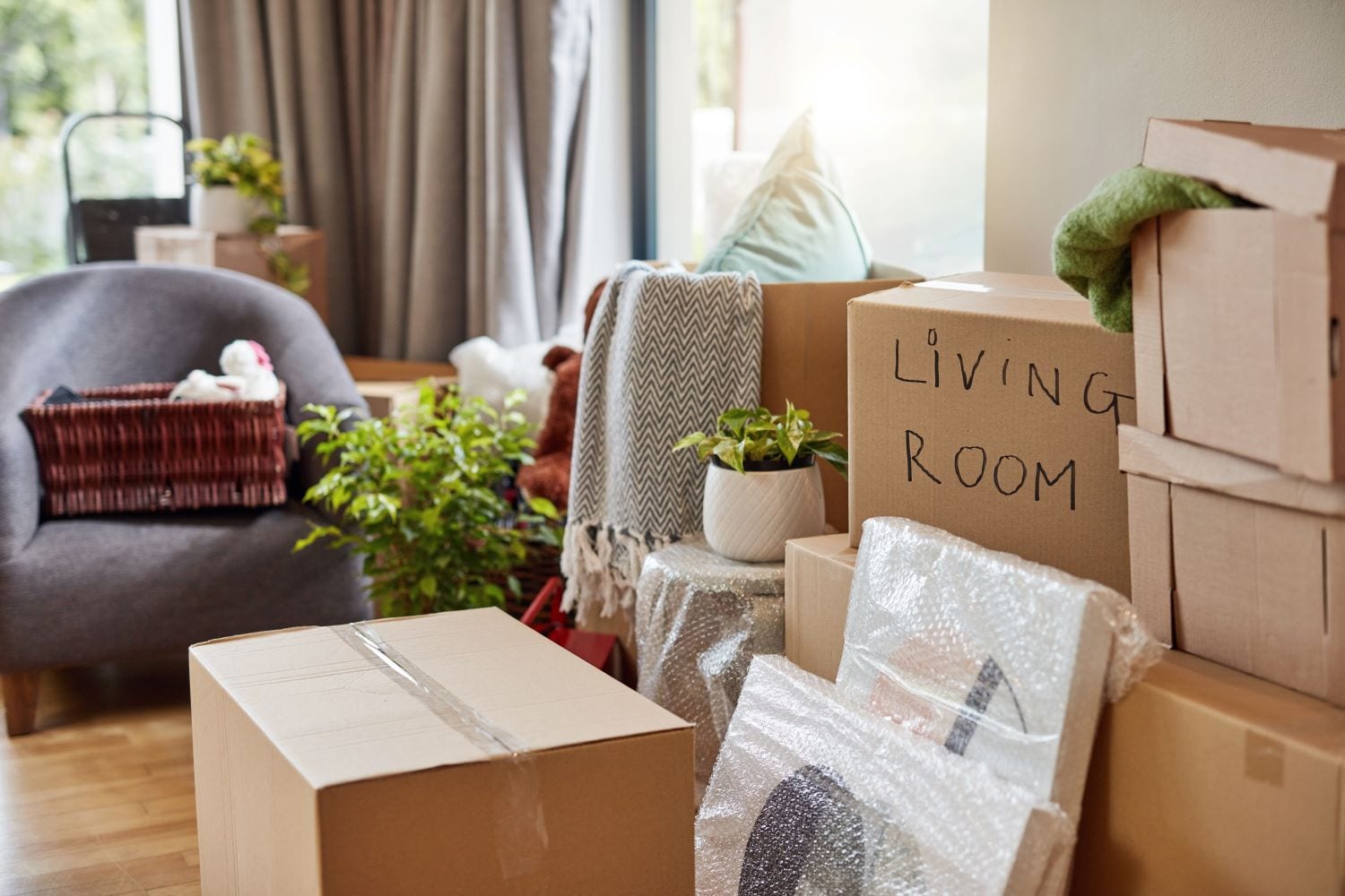 moving boxes